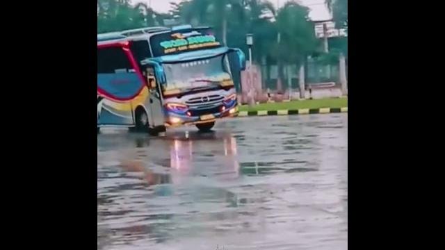 (bumblebee)winspector vs khey" vs ratu moeeza vs geulis #jetbus #fypシviral #busmania #shorts #fyp (bumblebee)winspector vs khey" vs ratu moeeza vs geulis #jetbus #fypシviral #busmania #shorts #fyp