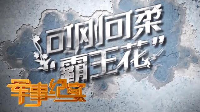 胆小者慎入!直击特战女兵挑战“恐怖盲盒” 现场高能!「军事纪实」20210317 | 军迷天下 胆小者慎入!直击特战女兵挑战“恐怖盲盒” 现场高能!「军事纪实」20210317 | 军迷天下
