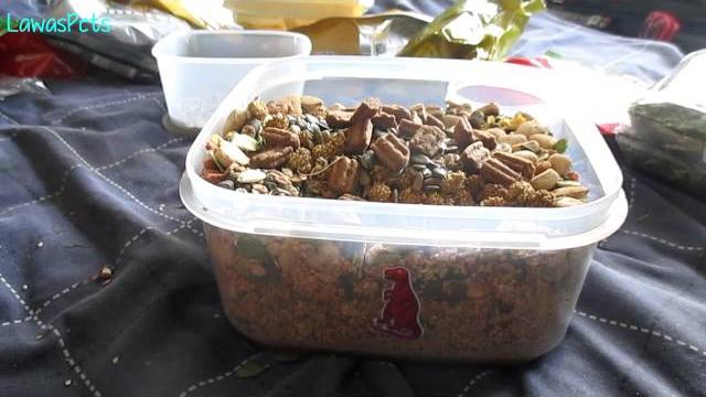 Dwarf hamster diet | june 2015 Dwarf hamster diet | june 2015