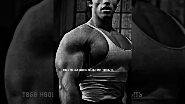 Мотивация арнольд шварценеггер Мотивация арнольд шварценеггер