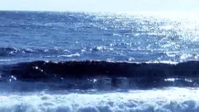 対馬海峡 プロモーションビデオ / 対馬一誠 対馬海峡 プロモーションビデオ / 対馬一誠