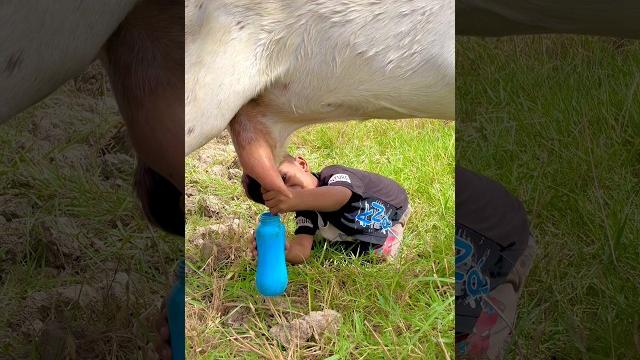 Bacche ne acha kam kea #viralvideo#islamic#shorts#trending#india#pakistan#usa#mrbeast#foryou Bacche ne acha kam kea #viralvideo#islamic#shorts#trending#india#pakistan#usa#mrbeast#foryou