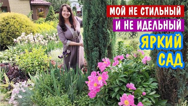 Мой не стильный и не идеальный сад в июне. и душевный разговор Мой не стильный и не идеальный сад в июне. и душевный разговор