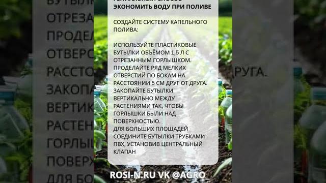 Гениальный способ экономить воду при поливе Гениальный способ экономить воду при поливе