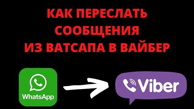 Как переслать сообщения из ватсапа в вайбер Как переслать сообщения из ватсапа в вайбер