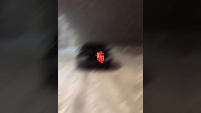 Oq saroyni qora ko'chalarida Oq saroyni qora ko'chalarida