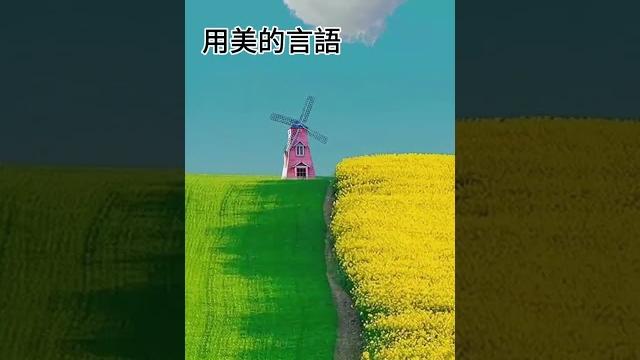 用什麼心出發? 拾穗之悅~2024年7月4日 用什麼心出發? 拾穗之悅~2024年7月4日
