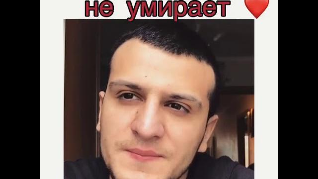 Папа никогда не умирает Папа никогда не умирает