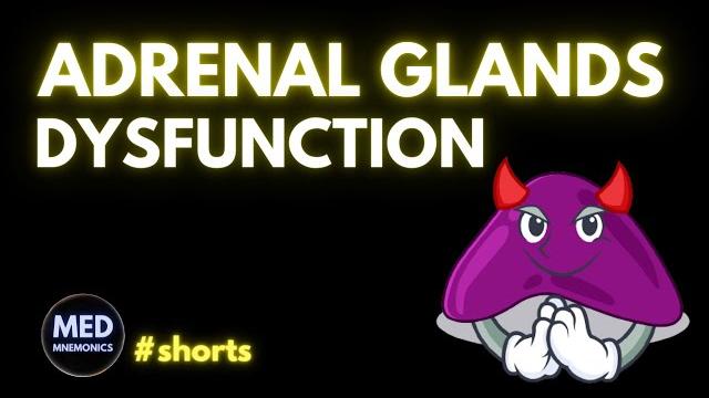 Adrenal diseases | addison's | cushing's #shorts Adrenal diseases | addison's | cushing's #shorts