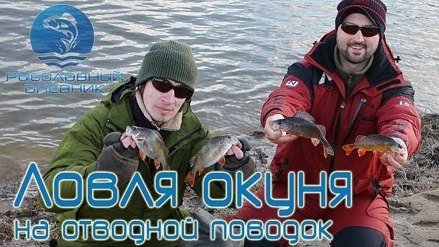 Отводной поводок на окуня и щуку : рыболовный дневник Отводной поводок на окуня и щуку : рыболовный дневник