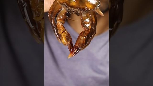 Trying soft-shell crab for the first time Trying soft-shell crab for the first time