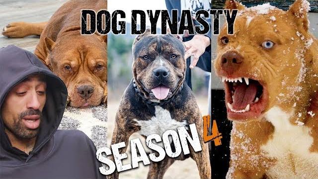 Dog dynasty: entire season 4 Dog dynasty: entire season 4
