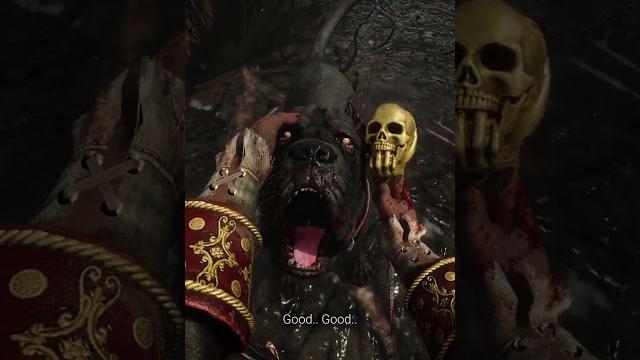 Yes, you can pet the dog. Yes, you can pet the dog.