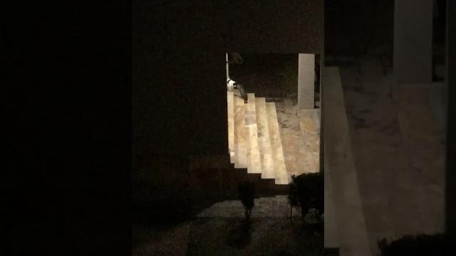Korktun mu? feat sinem barankoglu Korktun mu? feat sinem barankoglu