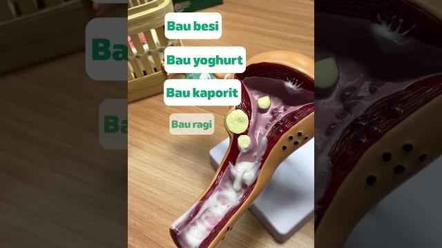 Bau keputihan yang normal kayak gini? Bau keputihan yang normal kayak gini?