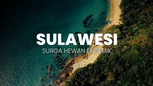 Surga hewan endemik: sulawesi Surga hewan endemik: sulawesi