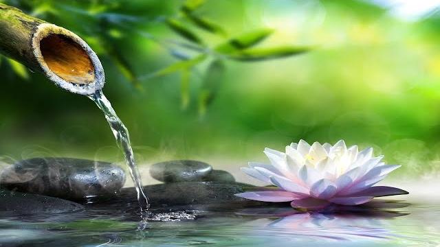 Relaxing music with water sounds meditation - bamboo water fountain healing - sleep Relaxing music with water sounds meditation - bamboo water fountain healing - sleep
