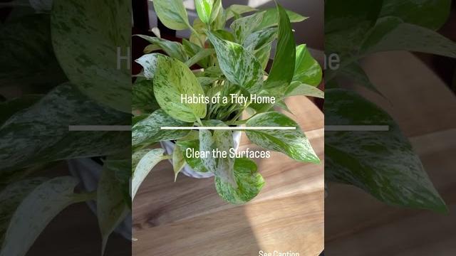 Habits of a tidy home | clear the surfaces | messy to minimal | clean + declutter with me 2023 Habits of a tidy home | clear the surfaces | messy to minimal | clean + declutter with me 2023