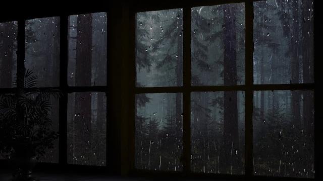 Rain on window with thunder sounds - rain in forest at night - 10 hours Rain on window with thunder sounds - rain in forest at night - 10 hours
