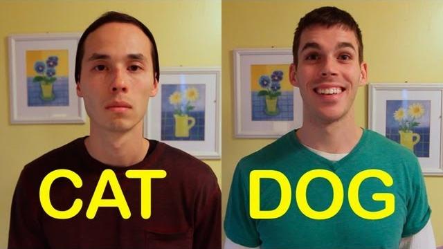 Cat-friend vs dog-friend Cat-friend vs dog-friend