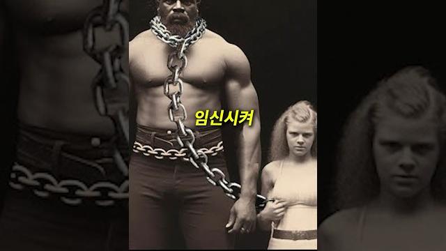 흑인 노예의 피지컬 수준..ㄷㄷ 흑인 노예의 피지컬 수준..ㄷㄷ