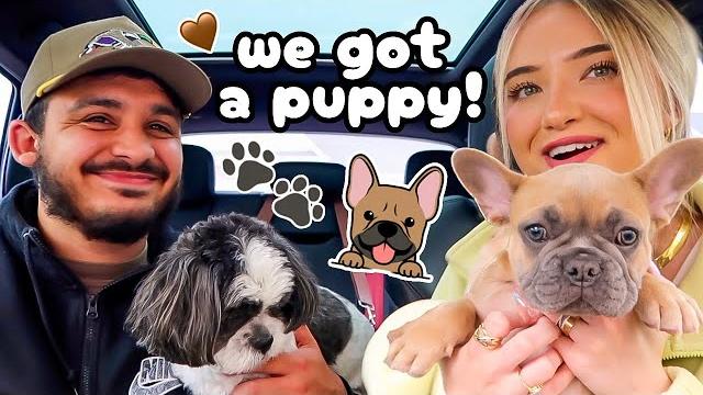 We got a new puppy!! french bulldog puppy vlog We got a new puppy!! french bulldog puppy vlog