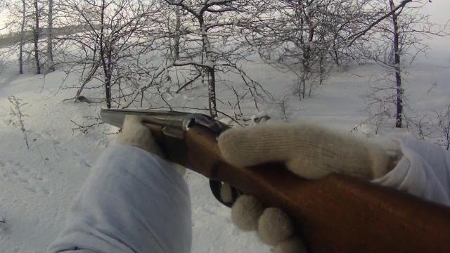 Тропление зайца по пороше, одно удовольствие. (реальные события в стихах) заяц 20.12.2016 Тропление зайца по пороше, одно удовольствие. (реальные события в стихах) заяц 20.12.2016