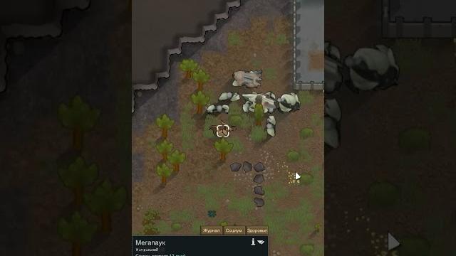 Приручение жука в rimworld 1.5 anomaly Приручение жука в rimworld 1.5 anomaly