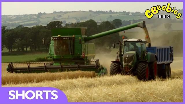 Cbeebies: harvest time with down on the farm Cbeebies: harvest time with down on the farm