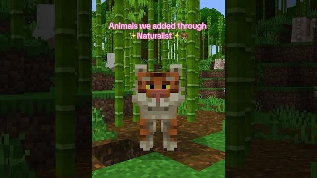 Vanilla minecraft animals vs naturalist Vanilla minecraft animals vs naturalist