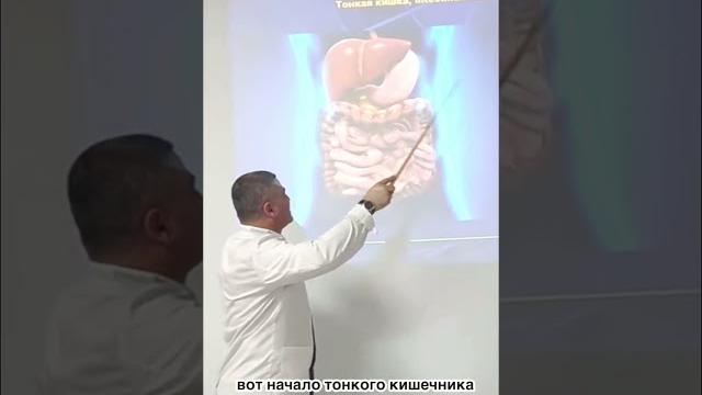 Строение тонкой кишки. анатомия / эдгар кафаров Строение тонкой кишки. анатомия / эдгар кафаров