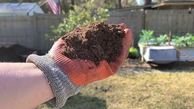 My last bag of peat moss My last bag of peat moss