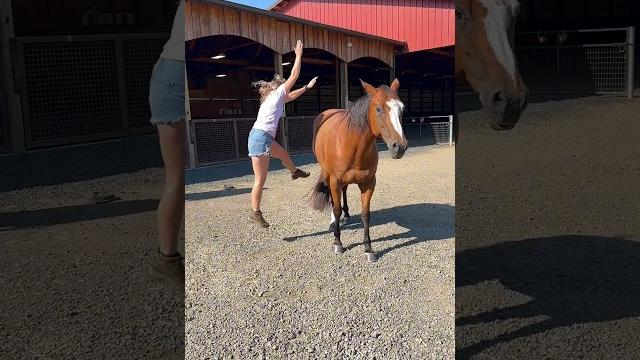 I’ll save you ziva!!! #horses #equestrian #shorts I’ll save you ziva!!! #horses #equestrian #shorts