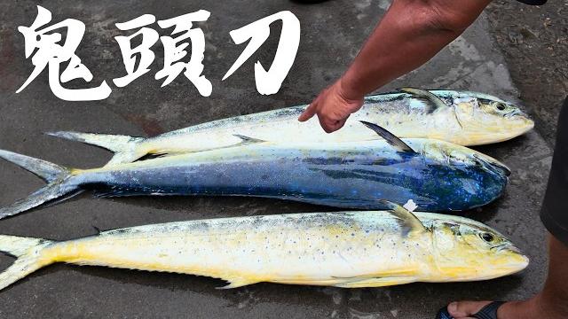 吃膩日系了 鬼頭刀做南美ceviche 吃膩日系了 鬼頭刀做南美ceviche