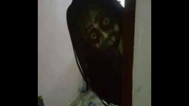 Ting tong Ting tong