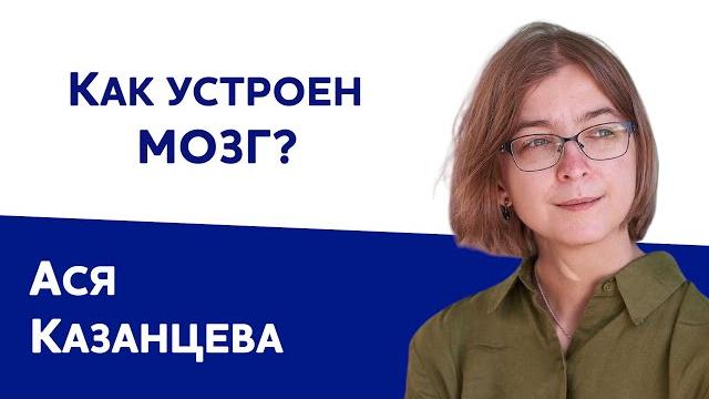 Как устроен мозг? | ася казанцева | ковчег без границ Как устроен мозг? | ася казанцева | ковчег без границ