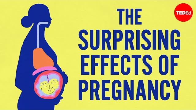 The surprising effects of pregnancy The surprising effects of pregnancy