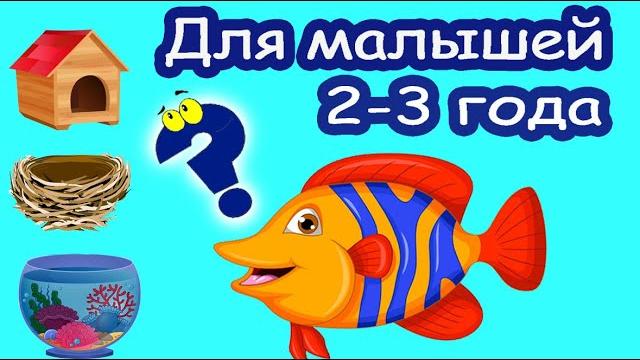 Развивающее видео для детей 2-3 лет. развитие мышления. головоломки для малышей обучающие Развивающее видео для детей 2-3 лет. развитие мышления. головоломки для малышей обучающие