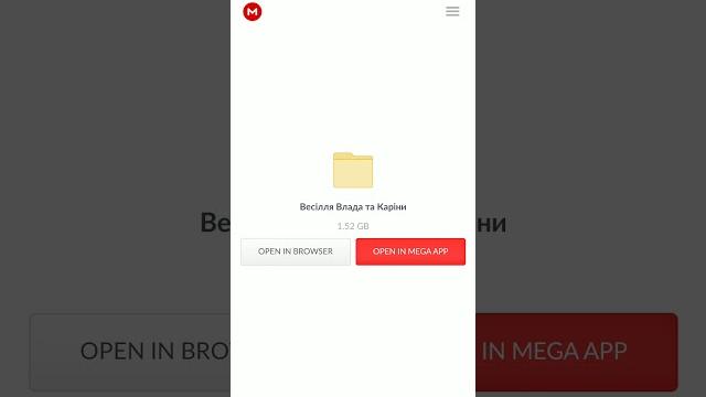 Как скачать с mega.nz Как скачать с mega.nz