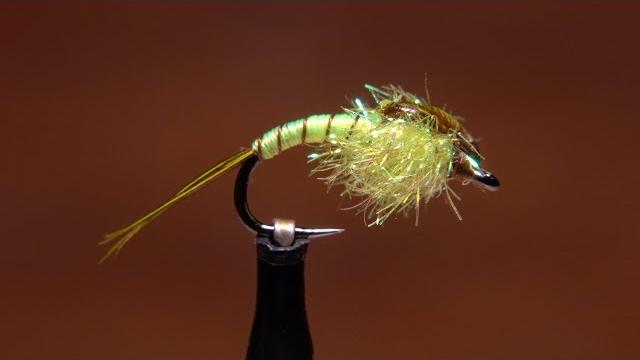 Steelhead nymph Steelhead nymph