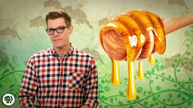 How do bees make honey? How do bees make honey?