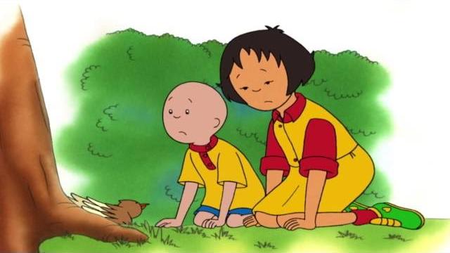 English episode caillou " the little bird " English episode caillou " the little bird "