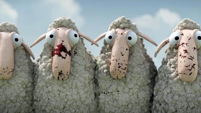 Oh sheep! Oh sheep!