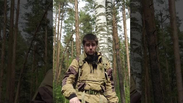 Кто в лесу сосет лучше? \ важно знать в походе Кто в лесу сосет лучше? \ важно знать в походе