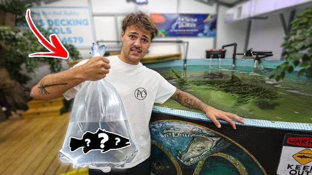 I found these species for my pond!! (crazy) I found these species for my pond!! (crazy)