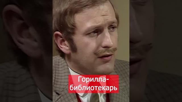 Новый библиотекарь Новый библиотекарь