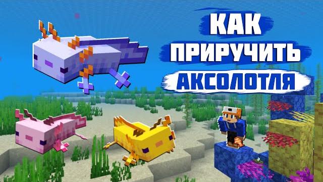 Как приручить аксолотля в майнкрафт | аквариум в minecraft для аксолотля | о мобе аксолотль Как приручить аксолотля в майнкрафт | аквариум в minecraft для аксолотля | о мобе аксолотль