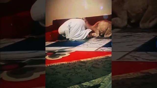 Mahshar me bhi kah dena# islamic# shorts# Mahshar me bhi kah dena# islamic# shorts#