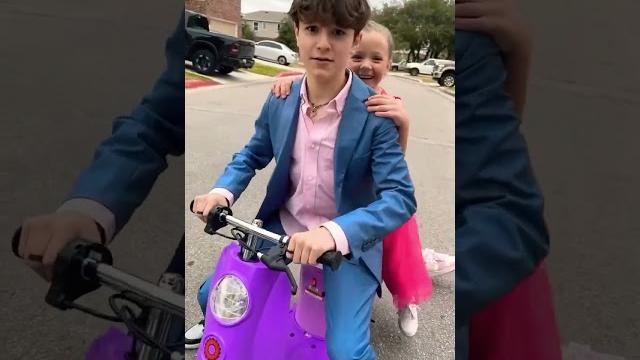 Did you laugh?#shorts #viralvideo #trendingstatus Did you laugh?#shorts #viralvideo #trendingstatus