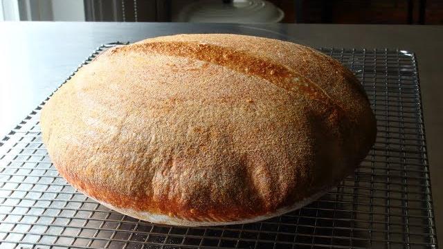 Sourdough bread - part 1: the starter Sourdough bread - part 1: the starter